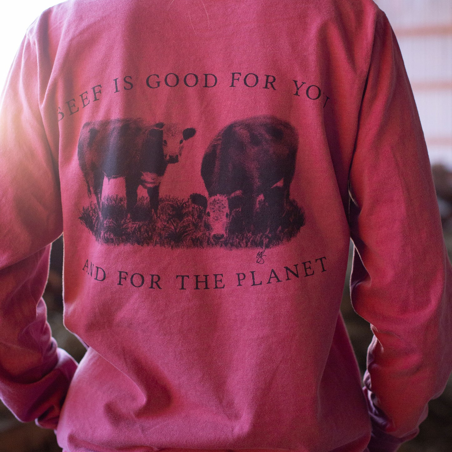 Beef is Good Long Sleeve T-Shirt multiple colors available)